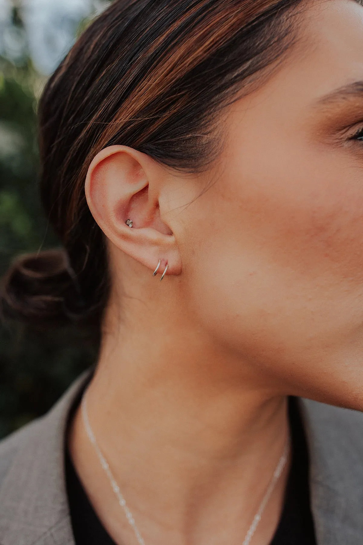 Double Hoop Earrings