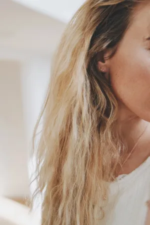Double Hoop Earrings
