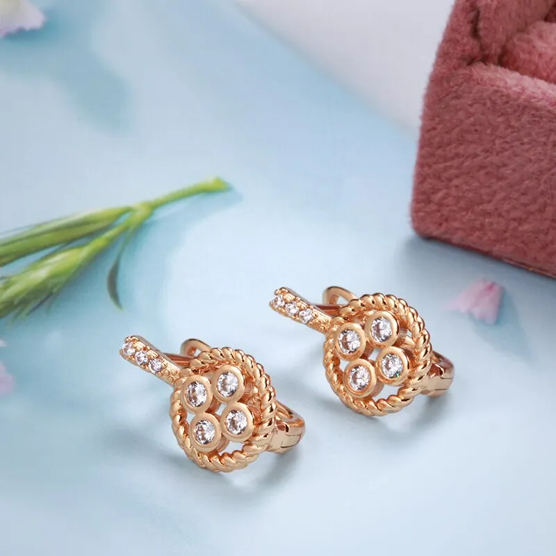 European Elegant Twist Zircon Earrings