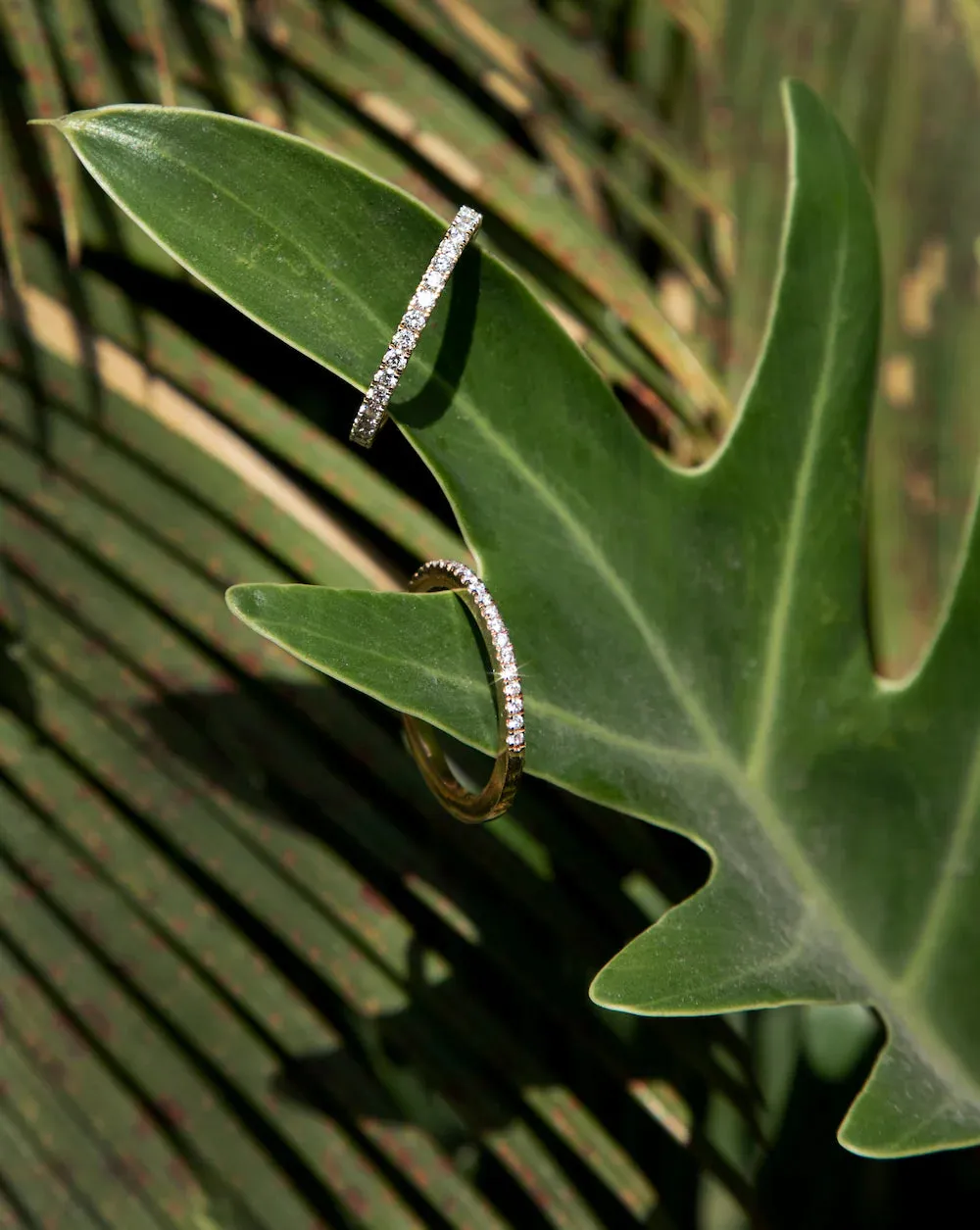 Pavé Diamond Ring