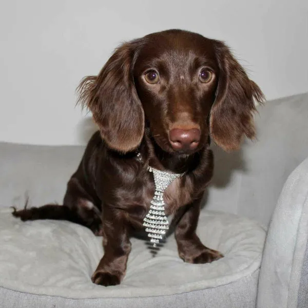 Rhinestone Tie Dog Necklace