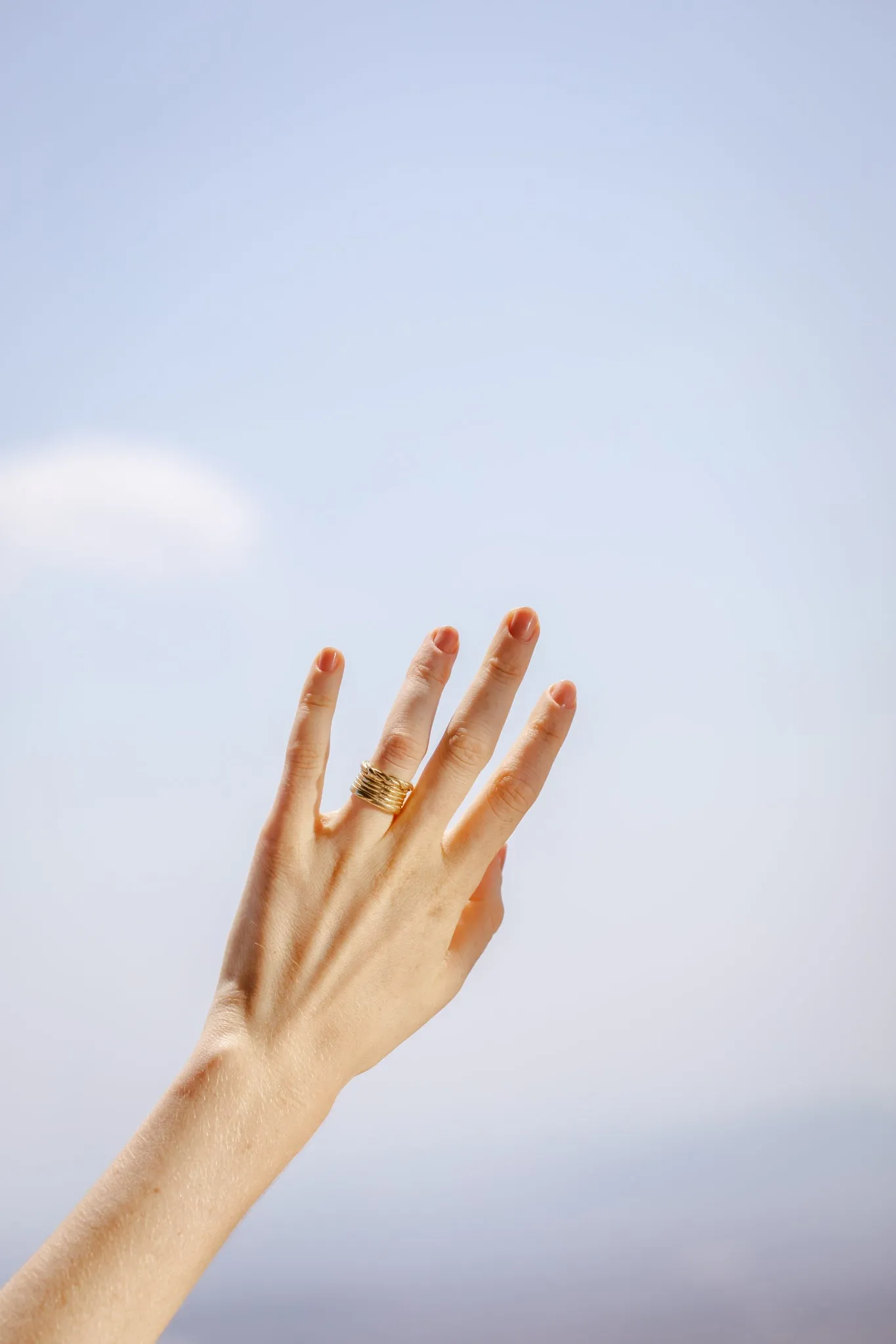 Stemma Ring