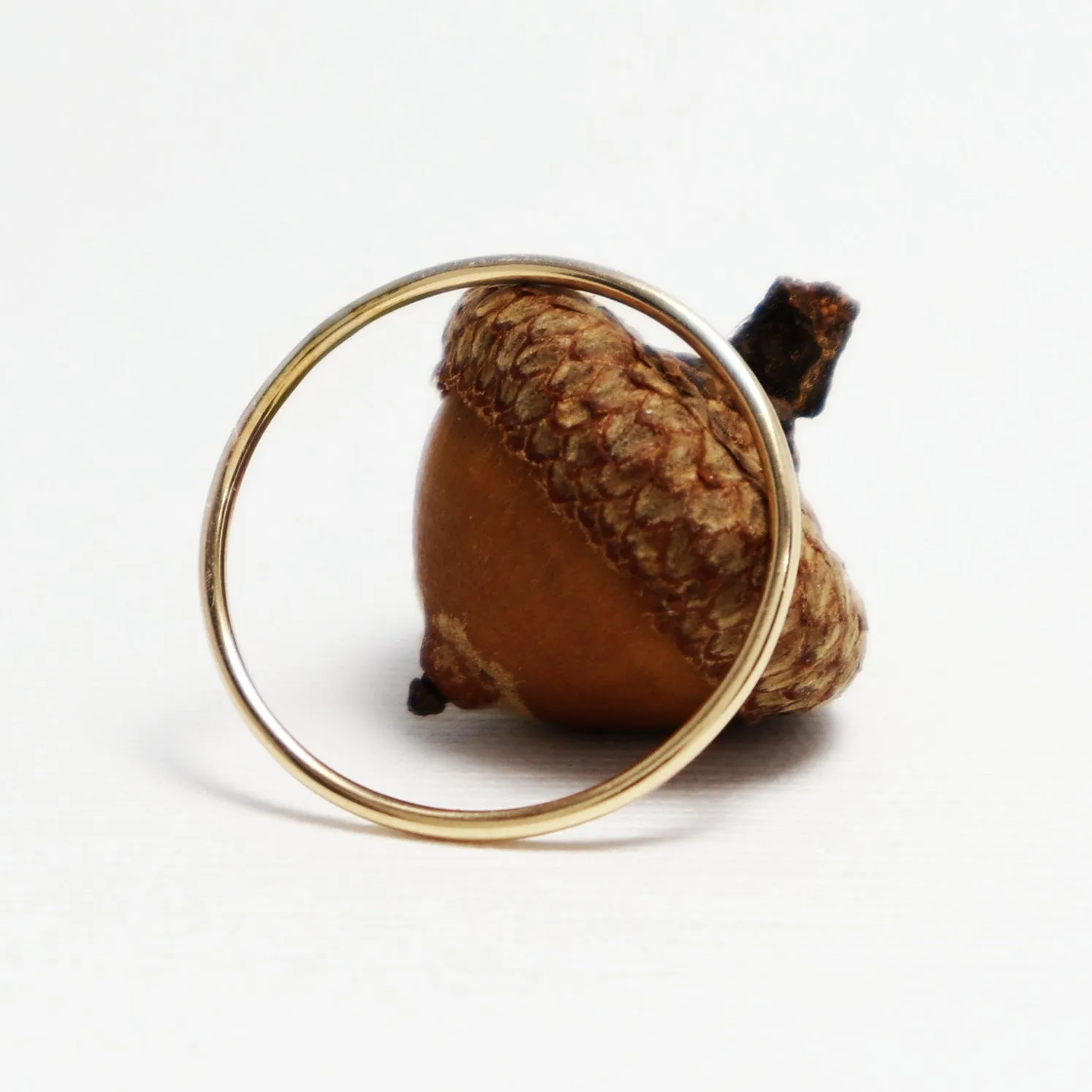 The Bliss Ring