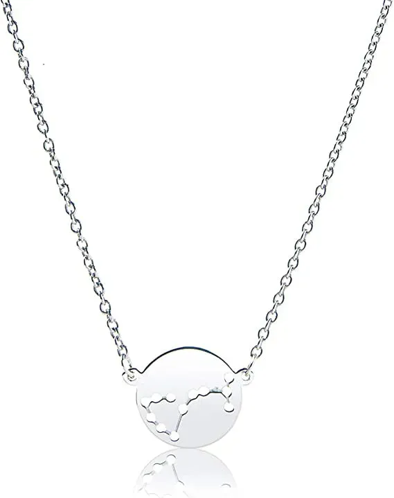 Zodiac Constellation Coin Necklace